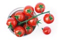 Bell tomatoes on the vine in the plastic cup Royalty Free Stock Photo