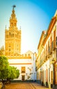 Bell tower of Cathedral church, Seville, Spain Royalty Free Stock Photo