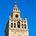 Bell tower of Cathedral church, Seville, Spain Royalty Free Stock Photo