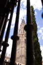Bell tower of the Cathedral of Toledo seen through the grate of a gate, Spain