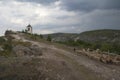 The bell tower of the cave monastery and a herd of the sheep. Royalty Free Stock Photo