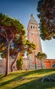 Bell tower of Church of Saint Euphemia Catholic church among spruce tree.