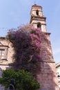 Bell Tower of Cultural Center in Morelia Royalty Free Stock Photo