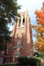 Bell tower among fall trees Royalty Free Stock Photo