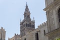 Bell tower Giralda, former minaret of Cathedral church, Seville, Spain Royalty Free Stock Photo