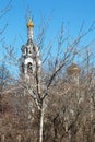 The bell tower of an Orthodox church in Moscow behind thickets of bushes against a blue sky