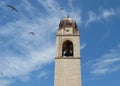 Bell Tower with Swallows against Blue Sky