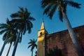 Bell tower of Santa Ana church framed by palm trees during sunset light, Merida, Yucatan, Mexico Royalty Free Stock Photo