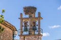 Bell tower with stork nest