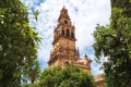 Bell Tower Torre de Alminar of the Mezquita Cathedral The Great Mosque in Cordoba, Spain. Royalty Free Stock Photo