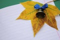 Bell, yellow maple leaf and school notebook - symbols of the beginning of the school year