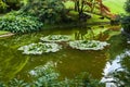 Bellagio city on Lake Como, Italy. Lombardy region. Italian famous landmark, Villa Melzi Park. Botanic Garden plants and trees Royalty Free Stock Photo