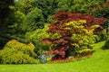 Bellagio city on Lake Como, Italy. Lombardy region. Italian famous landmark, Villa Melzi Park. Botanic Garden plants and trees. Royalty Free Stock Photo