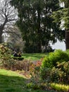 Bellagio, Italy  March 30 2019 Couple sitting in a garden to comtemplate the view of Lake Como Royalty Free Stock Photo