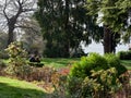 Bellagio, Italy  March 30 2019 Couple sitting in a garden to comtemplate the view of Lake Como Royalty Free Stock Photo