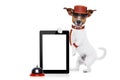 Bellboy dog Royalty Free Stock Photo