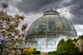 Belle Isle Conservatory in Detroit, Michigan