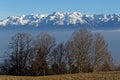 Belledonne snowy mountains behind some trees