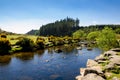 Bellever Forest And Dart River on Dartmoor National Park in Devo