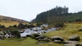 Bellever Forest, Dartmoor National Park, Devon,uK