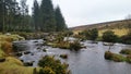 Bellever Forest, Dartmoor National Park, Devon,uK