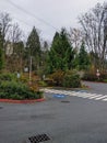 View of two handicapped parking spots at Mercer Slough marshland park downtown