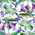 Bellflowers watercolor seamlles pattern Royalty Free Stock Photo