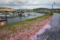 Gate 9 Squalicum Harbor after rain. View from Fisherman`s memorial at Zuanich Point Park. Royalty Free Stock Photo