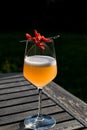 Bellini Cocktail made with peach in wine glass at garden Royalty Free Stock Photo