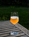 Bellini Cocktail made with peach in wine glass at garden Royalty Free Stock Photo
