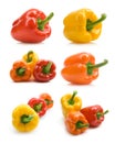 Bellpepper collection