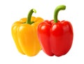 Bellpeprpers. A perfect yellow pepper with red pepper isolated on white.