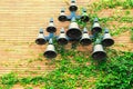 Bells are hanged on the wall climbed by plants.