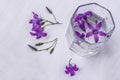 Bells purple field in the glass of water on white background