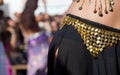 Belly dancers detail Royalty Free Stock Photo