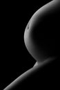 Belly of a pregnant woman on a dark background Royalty Free Stock Photo