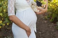 Belly of pregnant woman with grapes basket Royalty Free Stock Photo