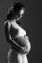 Belly of pregnant woman monochrome Royalty Free Stock Photo