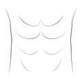 Belly press bodybuilder, vector drawing abdominal and groin muscles, inflated press