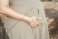 Belly of young pregnant woman walking in field at sunset, shade of wheat spikelet on round belly as a symbol of harvest - birth of