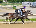 Belmont Park Training Track Workouts