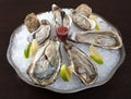 A Belon oyster on ice with sauce and lemon
