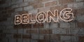 BELONG - Glowing Neon Sign on stonework wall - 3D rendered royalty free stock illustration