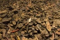 Belongings (shoes) of the people killed in Auschwitz Royalty Free Stock Photo