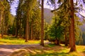 Summer landscape in Apuseni Mountains, Transylvania