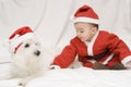 Beloved Christmas. Royalty Free Stock Photo