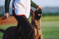 Beloved dog breed Belgian shepherd dog in competitions.
