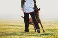 Beloved dog breed Belgian shepherd dog walks next to man and looks in the eyes