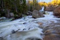 Below Alberta Falls in Rocky Mountain National Park Royalty Free Stock Photo