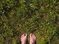 Below is a photo of bare feet of male feet on green meadow grass